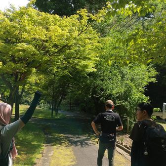 ね〜
バラ園が目的でなかった??
