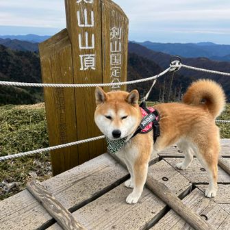 山男