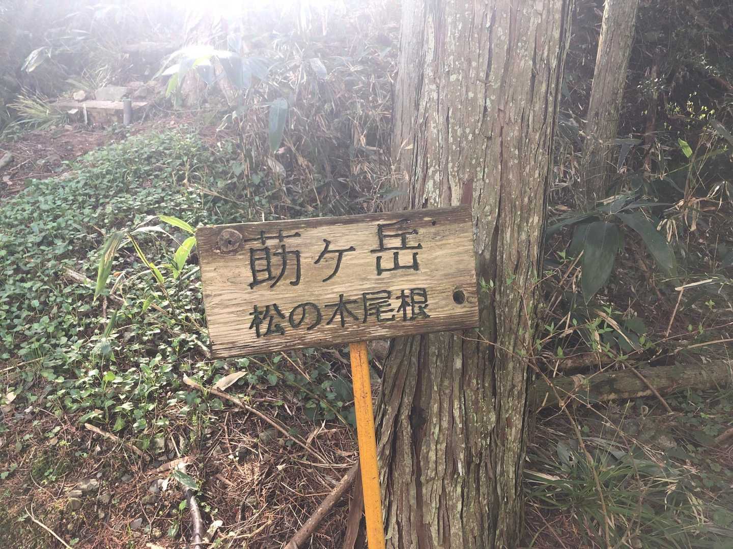 やっとやっと帰りました。
無事で良かったと、心で嬉し涙🥲
師匠によくがんばったと褒めてもらいました☺️