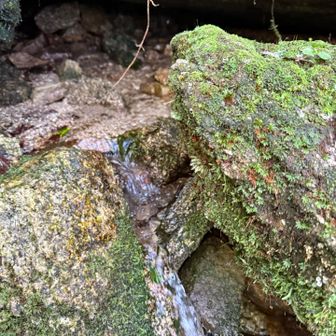 ブナ清水。
水量豊富。
汲んだが飲まなかった。
水は、必要以上に持ってゆくので。