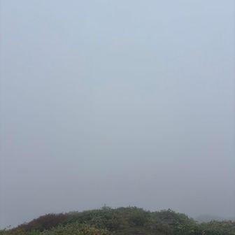 牛ヶ岳にて。