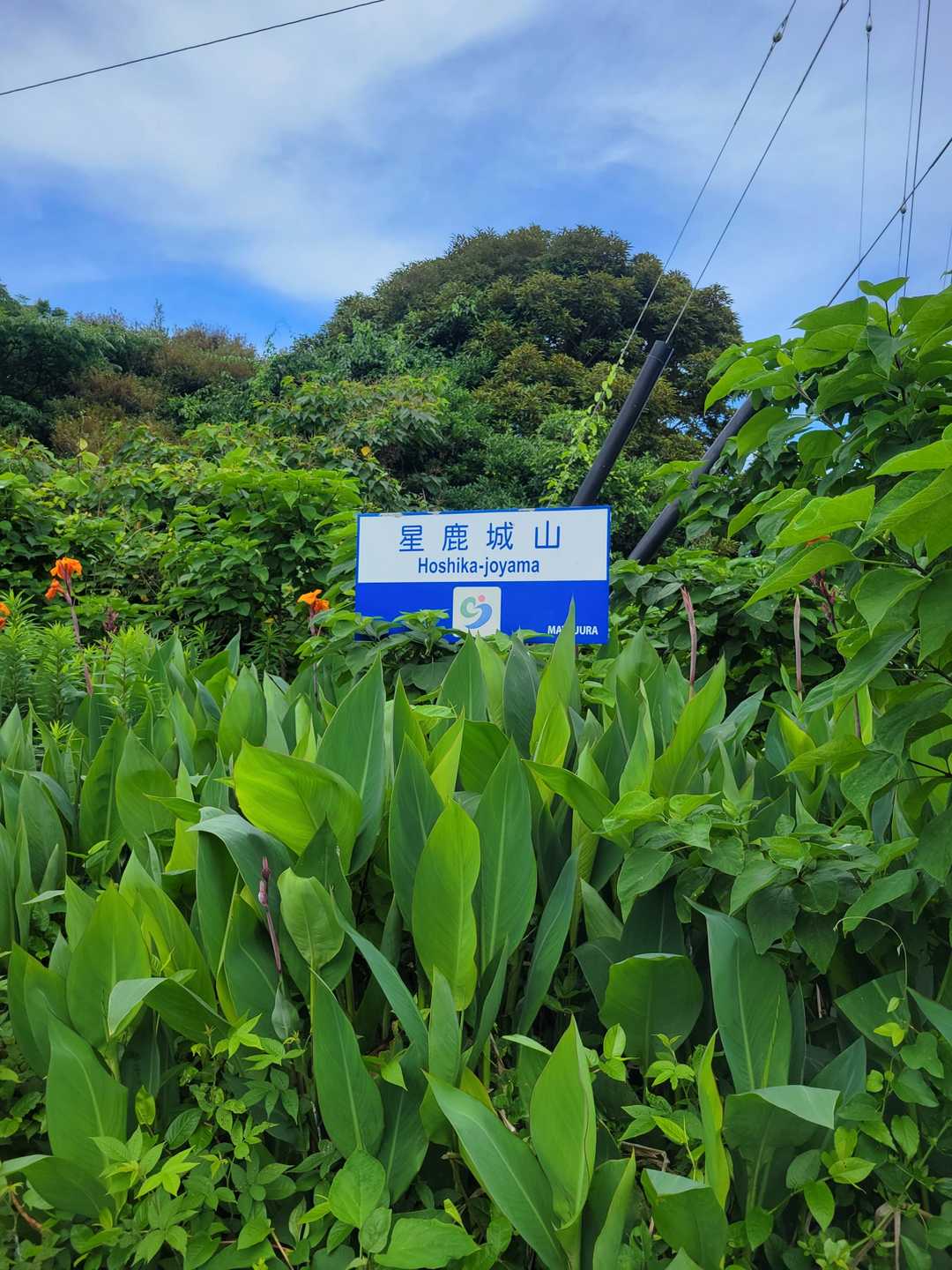 城山（長崎県松浦市星鹿町）の写真