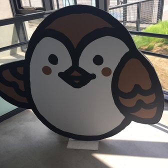 いしがき