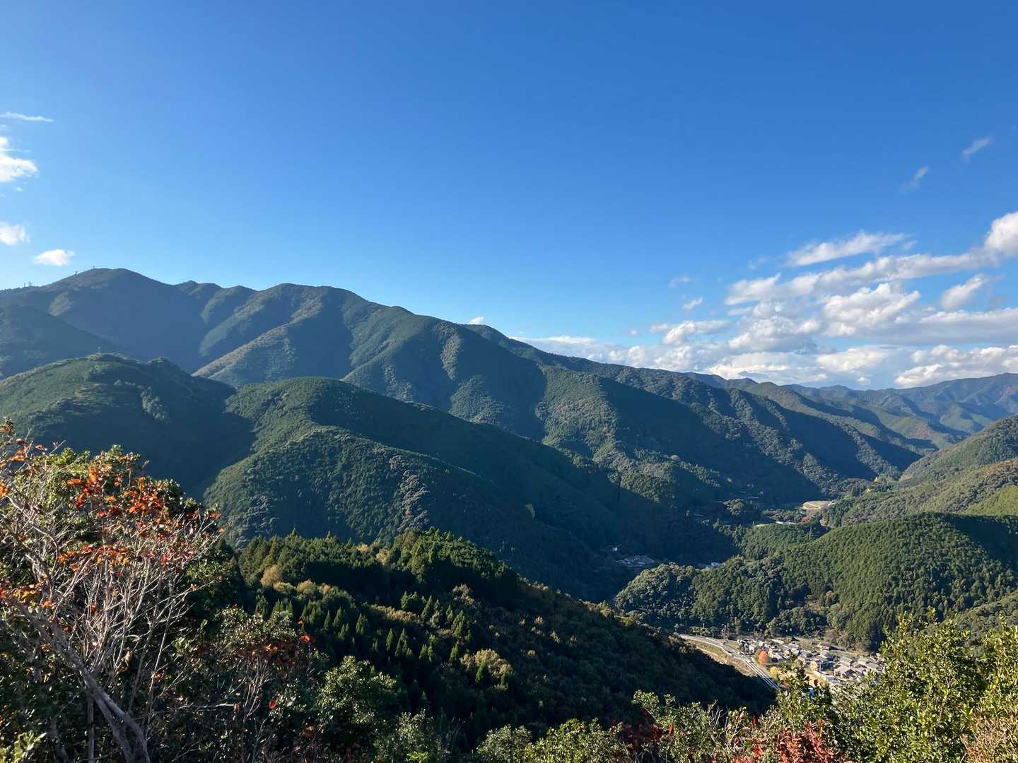 聖なる森で耳を澄ませる和歌山・熊野古道①コースの写真