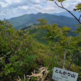 トンガリ復路はこんな感じ…
