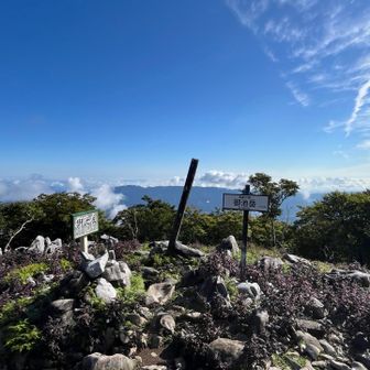 御池岳到着