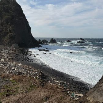 プラごみとゴロ岩と隙間から生えてる薮で歩きにくい富戸ノ浜。

バランス崩して最悪"頭から血を流して倒れている人"になるかと思ったが何とか立て直しドキドキしながらここで絶対コケられないんだよとひとりごちる…

このあと千畳敷から歩いてきた3人組とすれ違ったから、発見してもらえたかもしれんが焦った💦