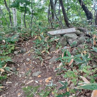 豊栄山頂上