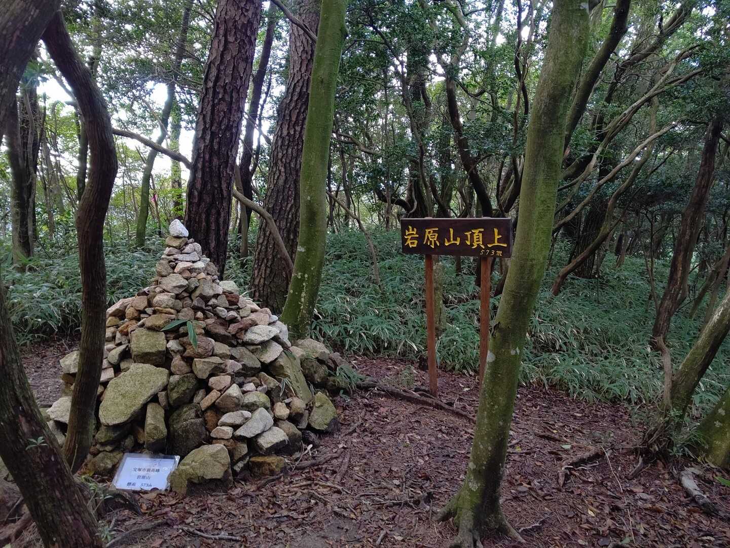 岩原山の写真