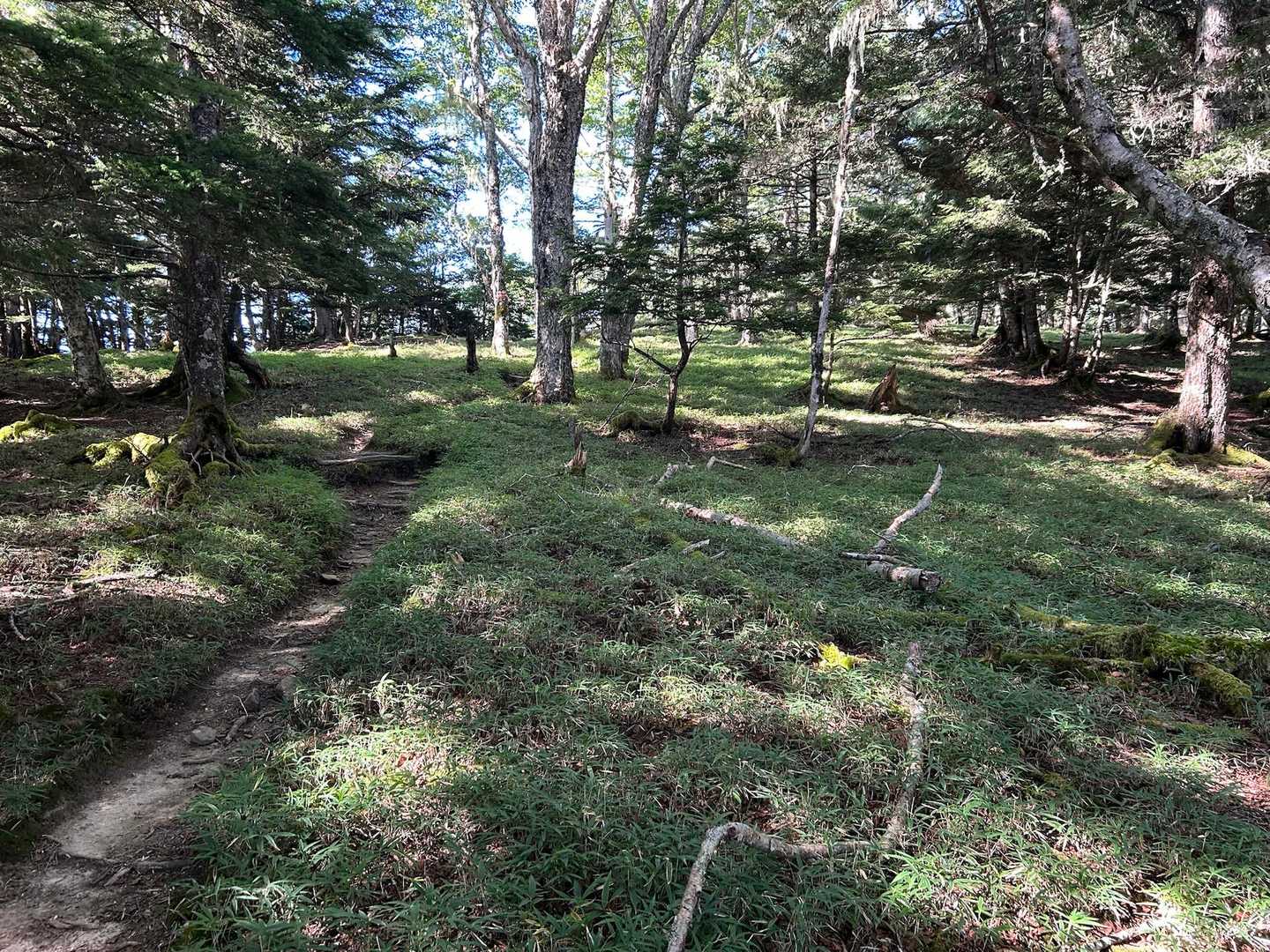 もう一つの山頂、燕頭山に登頂！
結構広い山頂です。ここで一休み。