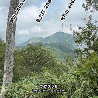 今日も雲多めですが、雨は降らずに頑張ってくれます😊