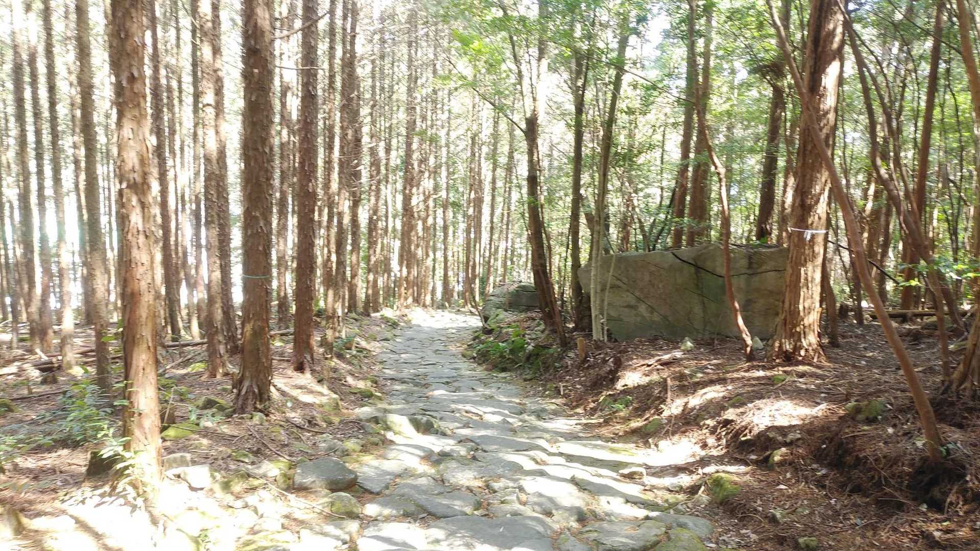 馬越峠登り口-馬越峠-馬越峠登り口 縦走コースの写真