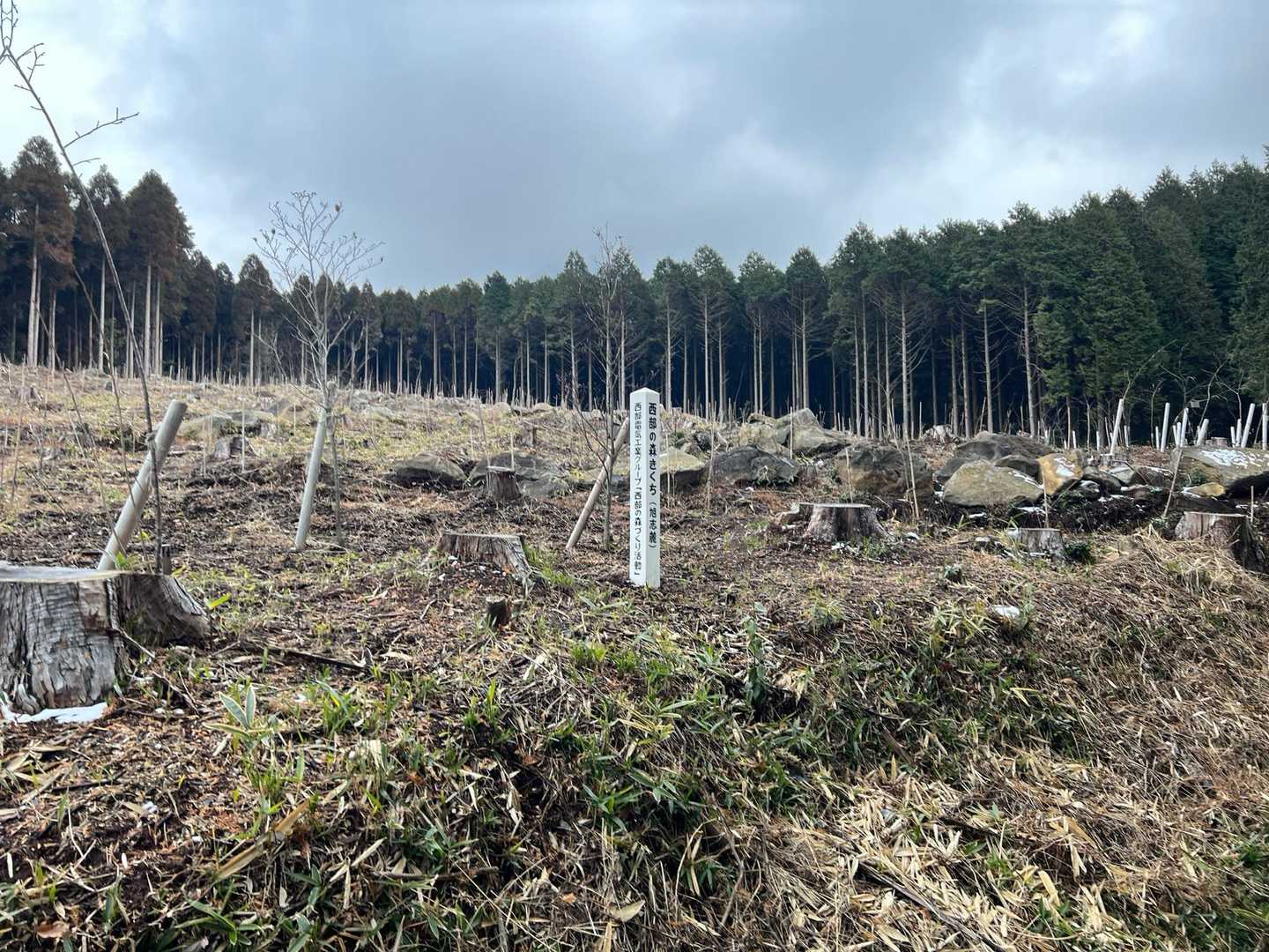 伏石登山口-鞍岳-赤崩登山口 周回コースの写真