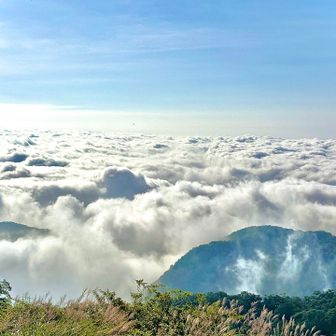 テクノアライブ