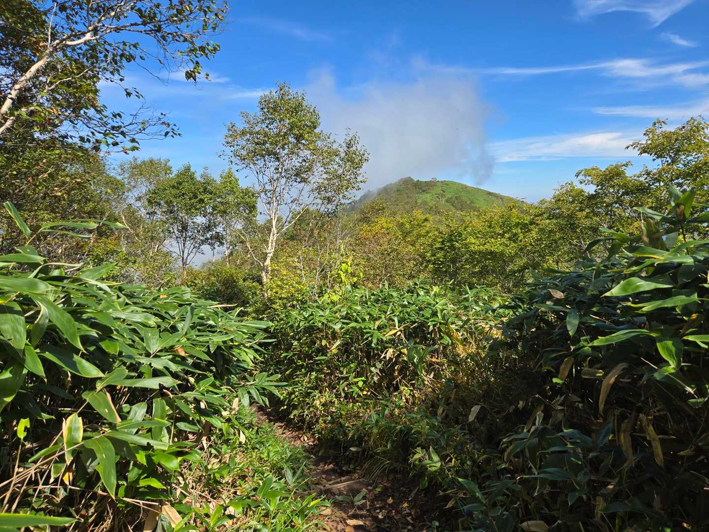 一ノ鳥居登山口-携帯トイレブース-飯縄山 往復コースの写真