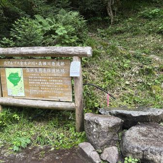 ここの笠新道入り口の水はそろそろ涸れるらしいです