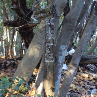 10年ほど前に整備した道という。