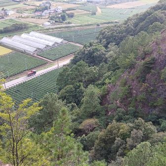 立岩だろうか。鎖場もほぼ垂直で高い。無理。戻って孫茶臼へ。