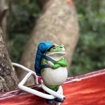 カエル🐸様がおられます