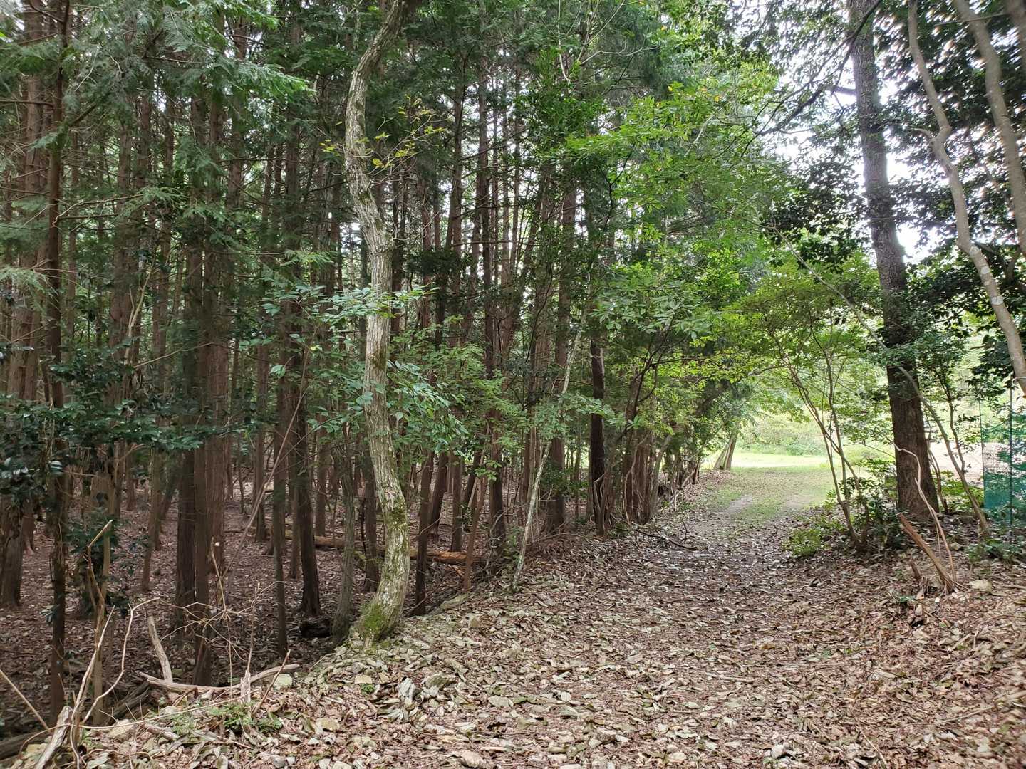 ストレッチすませていざ入山 🐾