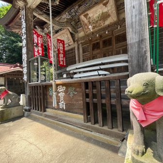 高水山常福院に到着🙏
狛犬は「犬」ですな🐶
ちょっとカワイイ🥰