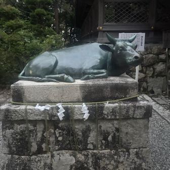 世界が平和でありますよう…🙏