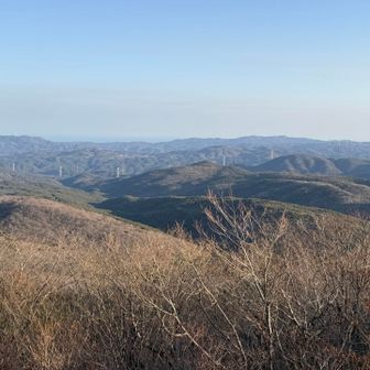展望🙆‍♂️
お腹が空いたので羊羹と白湯を🍵