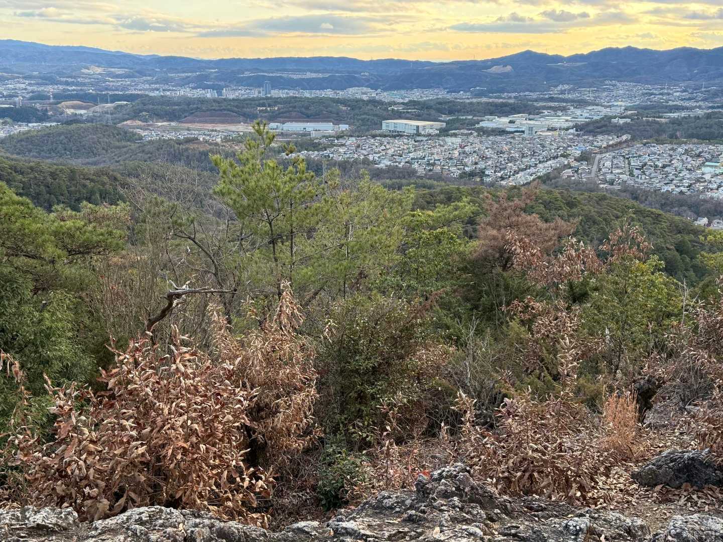 多治見の町が一望です✨