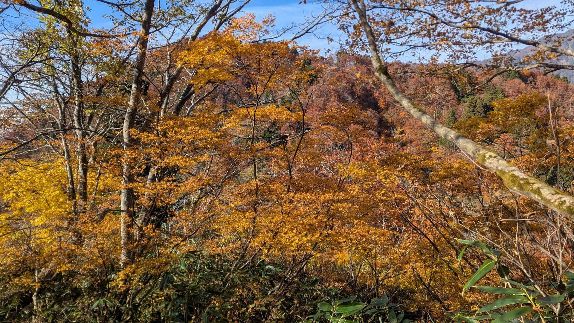 クズバからの中山撮影
真っ赤っか