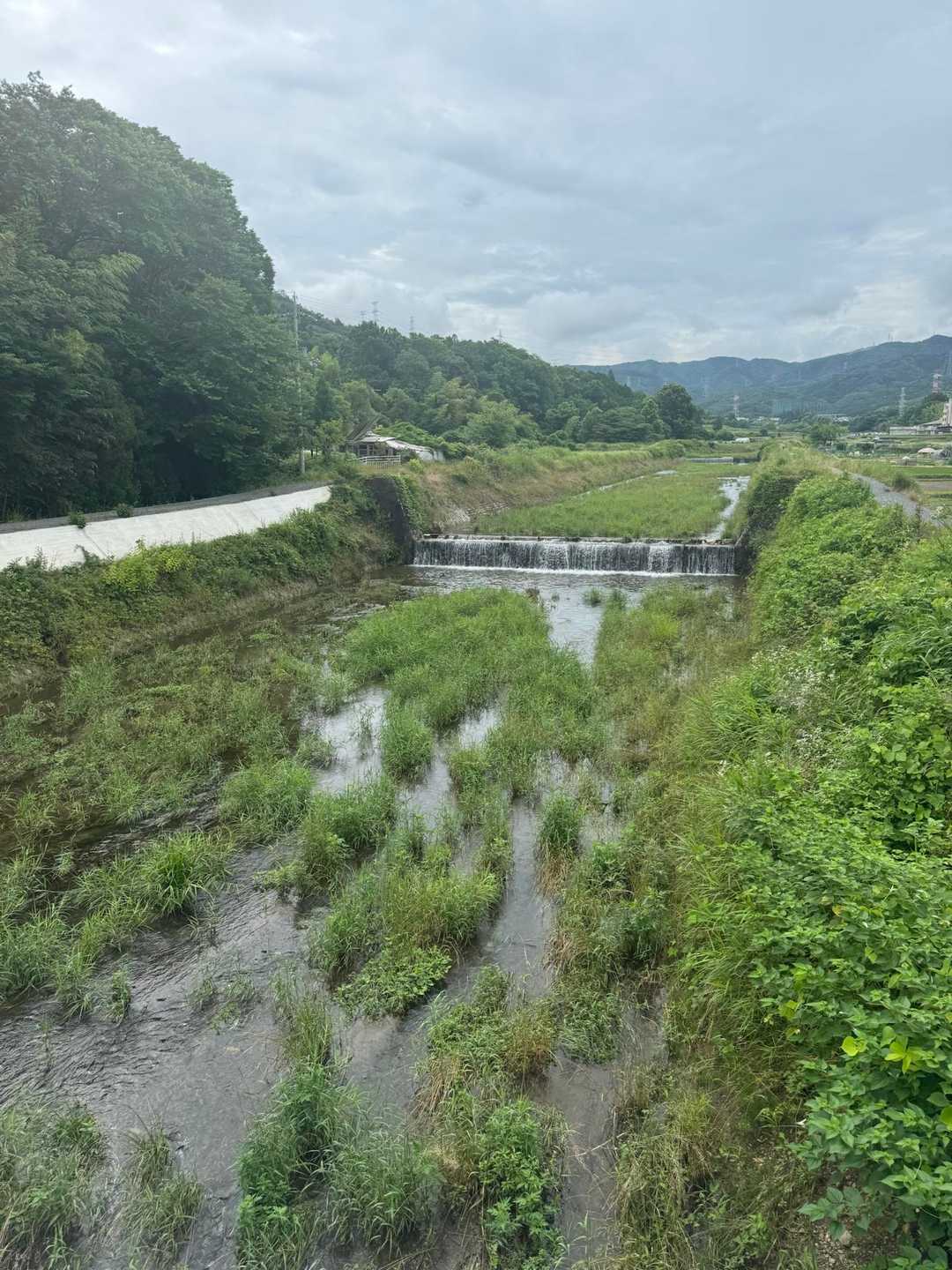 馬堀駅-みすぎ山-唐櫃越-沓掛山-上桂駅 縦走コースの写真