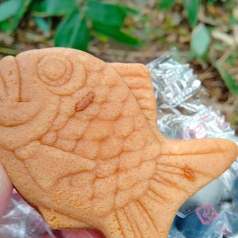 わもと