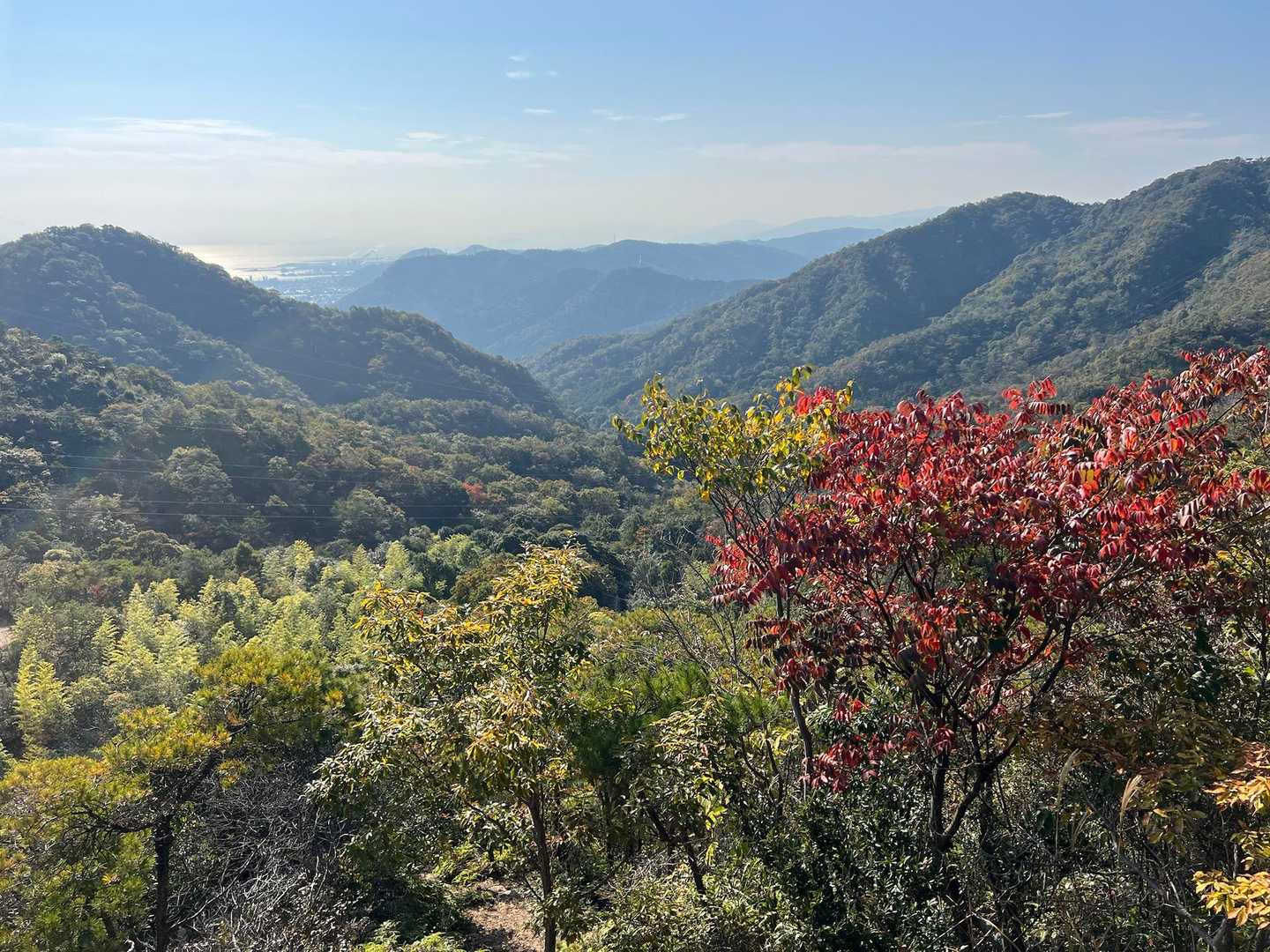 紅葉🍁と↗️この後登るであろう山も😁