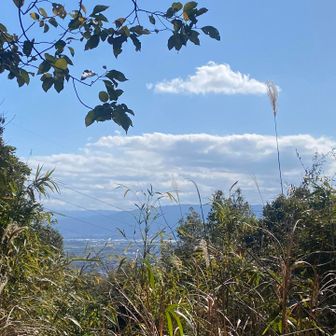 眺望はほんの少しだけ