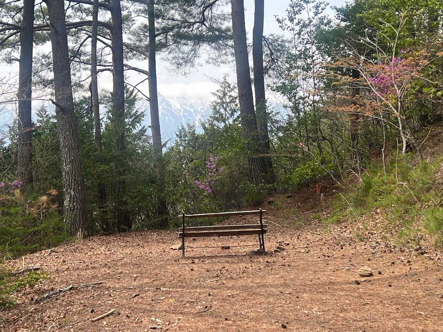 ベンチの先には美しい山、お花も咲いているし。
でもベンチは朽ちて壊れており座ることは出来ませんでした。