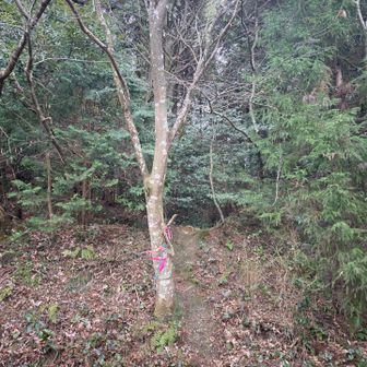 お疲れ様でした💦