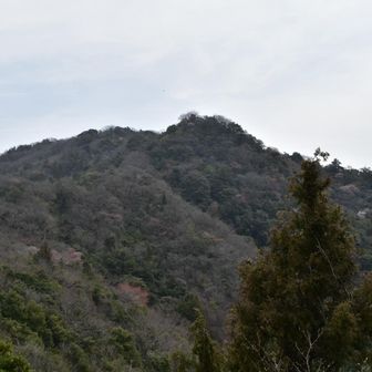 亀尾山　
最後の登りがけっこうキツイんよ