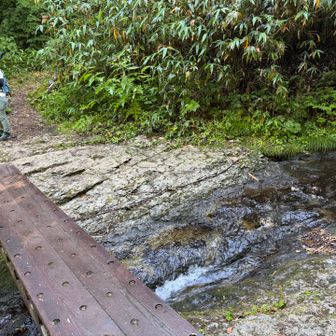 アライタ沢

この橋を渡ると用水路から離れ、登りが始まる⤴️