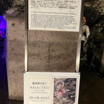 龍神さまの前で手を叩くと…