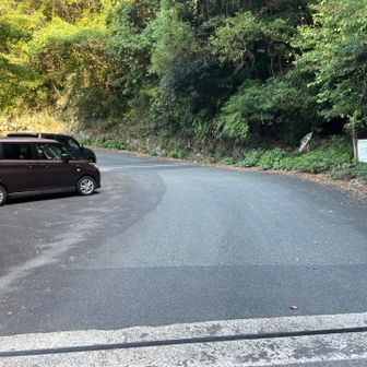 古堂橋登山口の前、林道の路肩に車を駐めて登山開始。3台くらい駐めるスペースがあります。