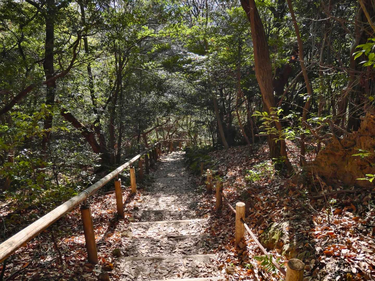 階段多めです。