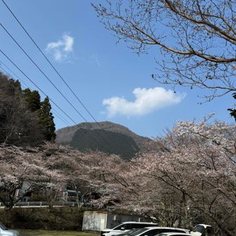 駐車場から見える矢倉岳⛰️
ほんとおにぎりみたい⛰️🍙😂

あの山登ったんだなって思うと、じわじわ実感してくる…🥹✨