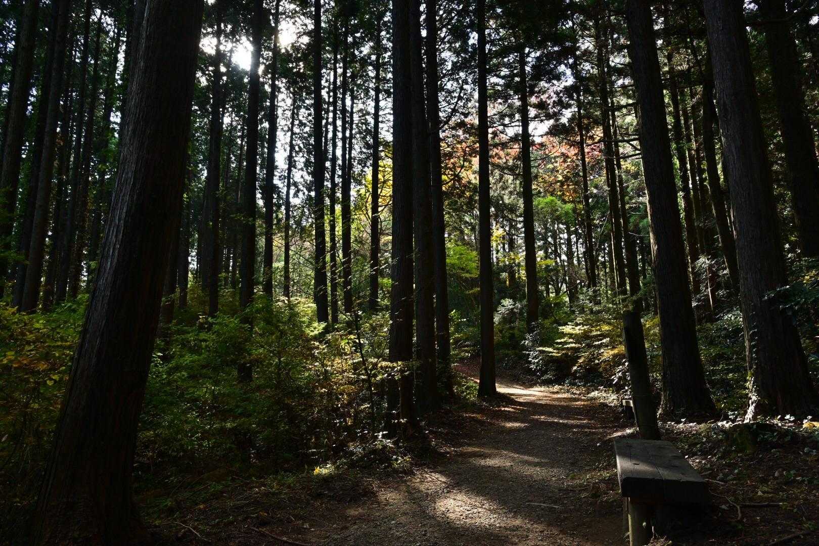 ここ静か。心休まる😌コーヒータイム☕️
ほんといい時間だったな。。