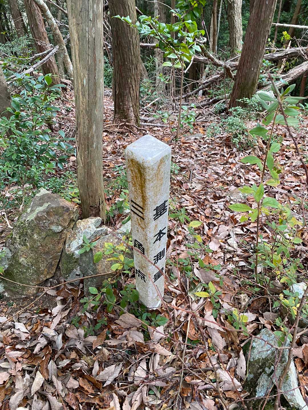 国束山 往復コースの写真