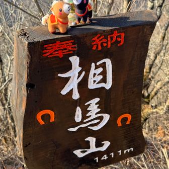 これこれ！！見たかった🤩
赤城山の干支のお守り持参。