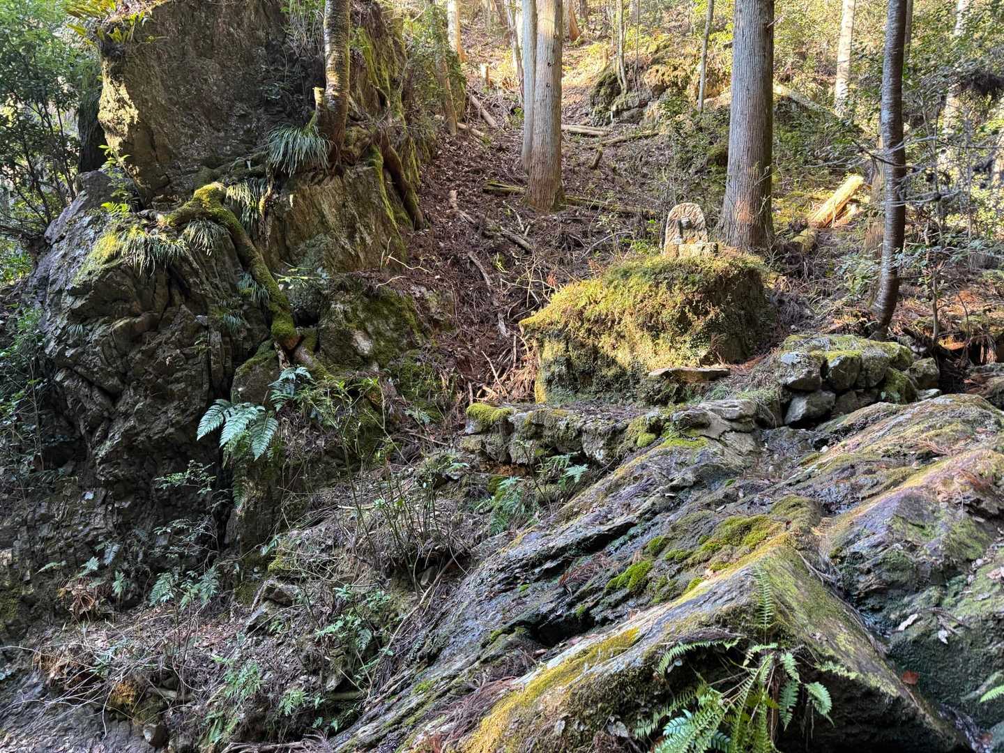 東洞登山口-誕生山 周回コースの写真