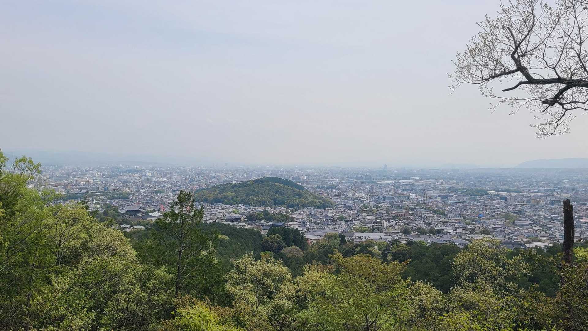 さっき通った山ですねきっと