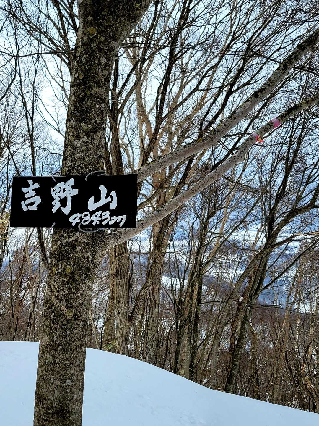 とうちゃこ！