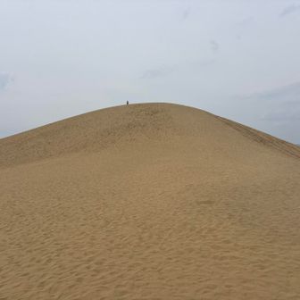 ピーク？いや、ランドマークあるトコ。