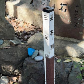三角点はありますが、山頂標識はありません（石柱があるようですが、見つけられませんでした）