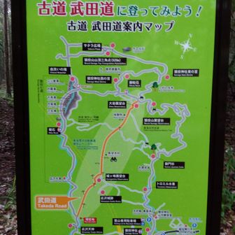 今日も武田道！